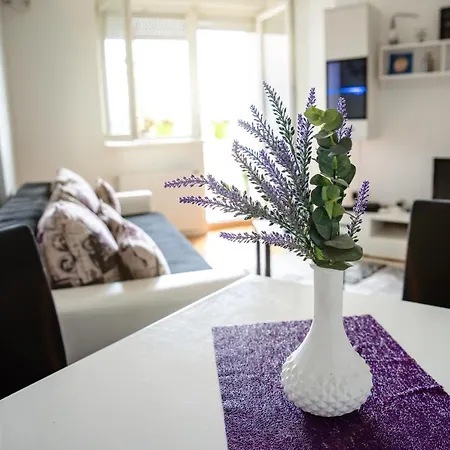 Apartman Black Star Apartment *
